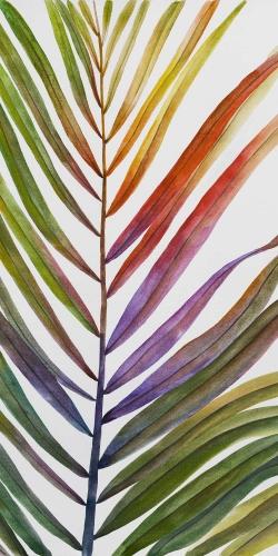 Feuille de palmier tropical