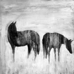 Horses silhouettes in the mist