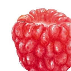 Raspberry