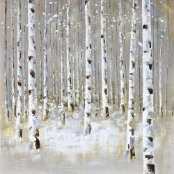 Birch forest by winter