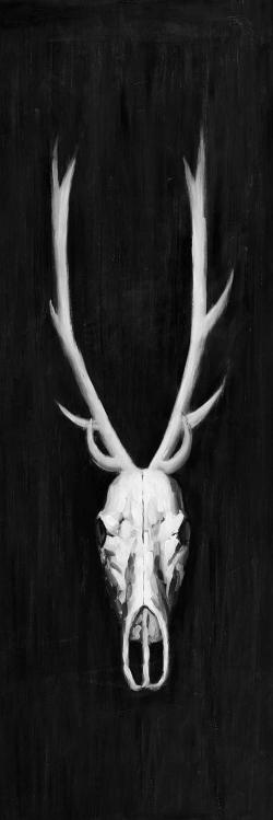 Deer skull on black background