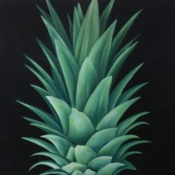 Feuilles d'ananas
