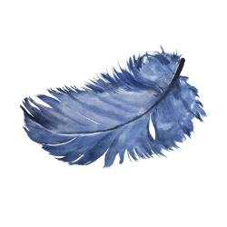 Watercolor blue feather