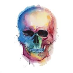 Watercolor colorful skull