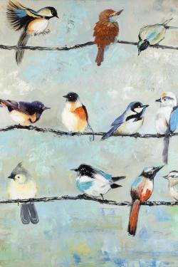 Petits oiseaux colorés