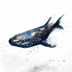 Requin baleine abstrait