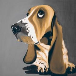 Gold basset hound dog