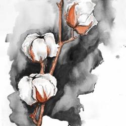 Fleurs de cotton sur fond noir