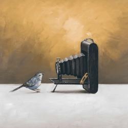 Old camera with bird