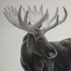 Grayscale moose profile
