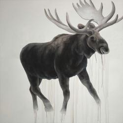 Walking moose 