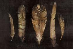 Brown feather set