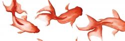 Petits poissons rouge