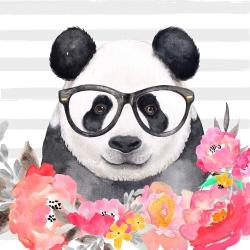 Panda à lunette