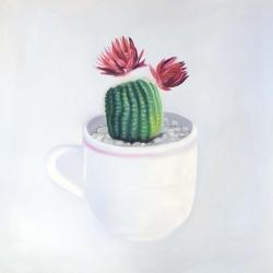 Mini cactus in a cup
