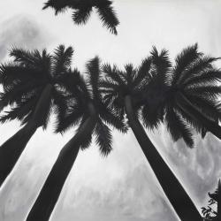Monochrome palm trees