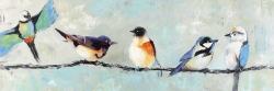 Petits oiseaux colorés