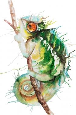 Watercolor chameleon