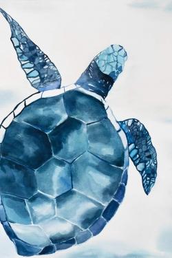 Tortue bleu