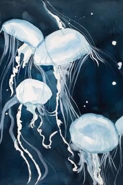 Meduses