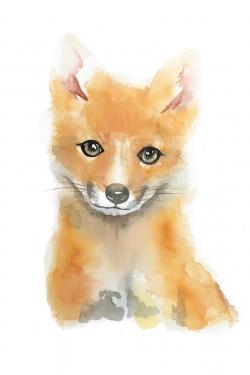 Watercolor baby fox