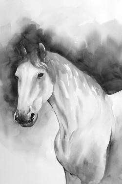 Domino horse