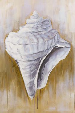 Conical shell