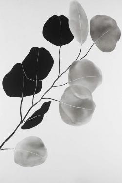 Branche en tons de gris et feuilles rondes
