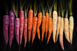 Colorful carrots