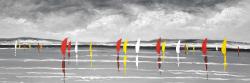 Sailboats on the lake