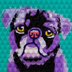 Geometric pug