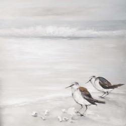 Deux oiseaux bécasseau