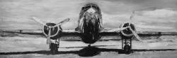 Avion en tons de gris