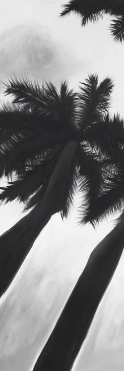 Monochrome palm trees