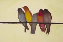 Five birds on a branch