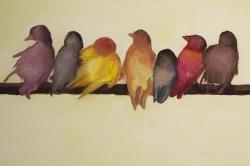 Famille d'oiseaux