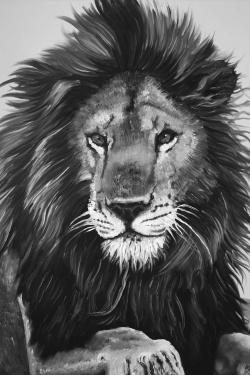 Le roi lion