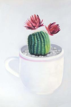 Mini cactus in a cup