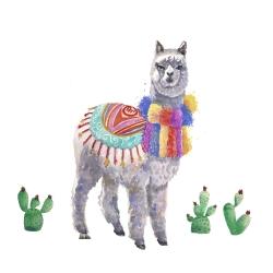 Traditional peruvian lama