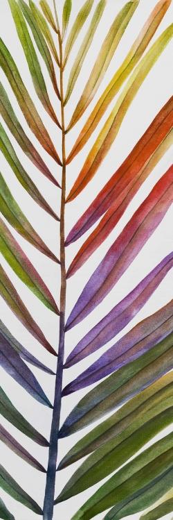 Feuille de palmier tropical