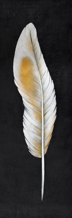 Plume