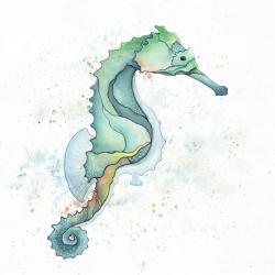 Hippocampe