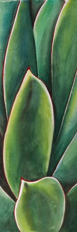 Plante d'agave à l'aquarelle