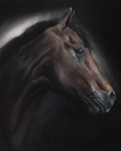 Cheval solitude