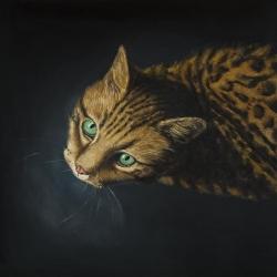 Bengal cat