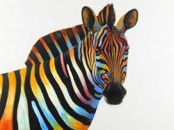Colorful profile view of a zebra