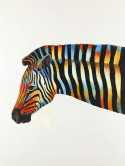 Colorful zebra