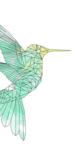Colibri géométrique