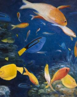 Colorful fish under the sea
