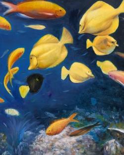 Fish under the sea